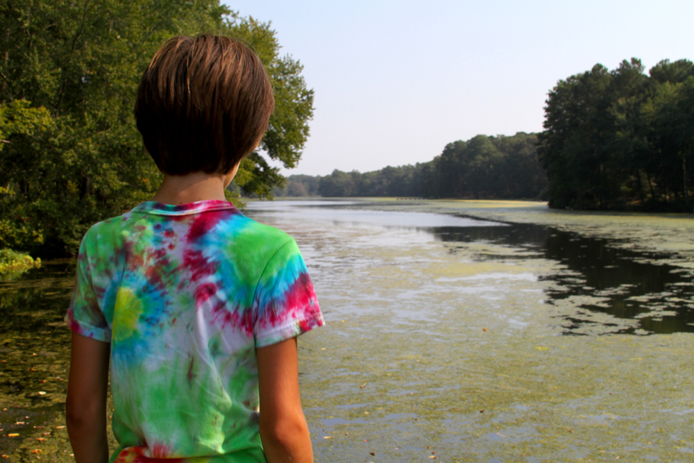 A child looking at an algae bloom