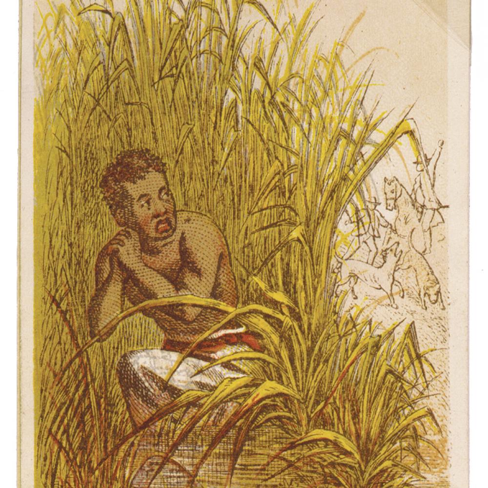 Man hiding in the weeds of a swamp to avoid slave catchers