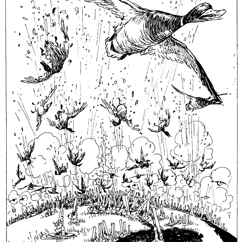 cartoon of ducks being shot