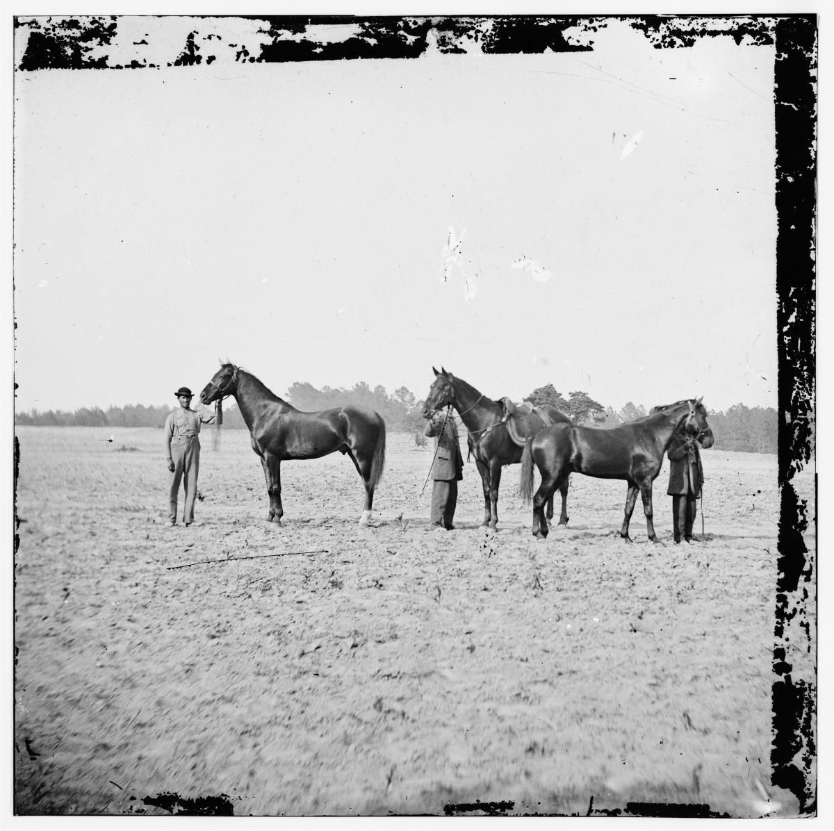 Grant as a young man, in a field with three horses
