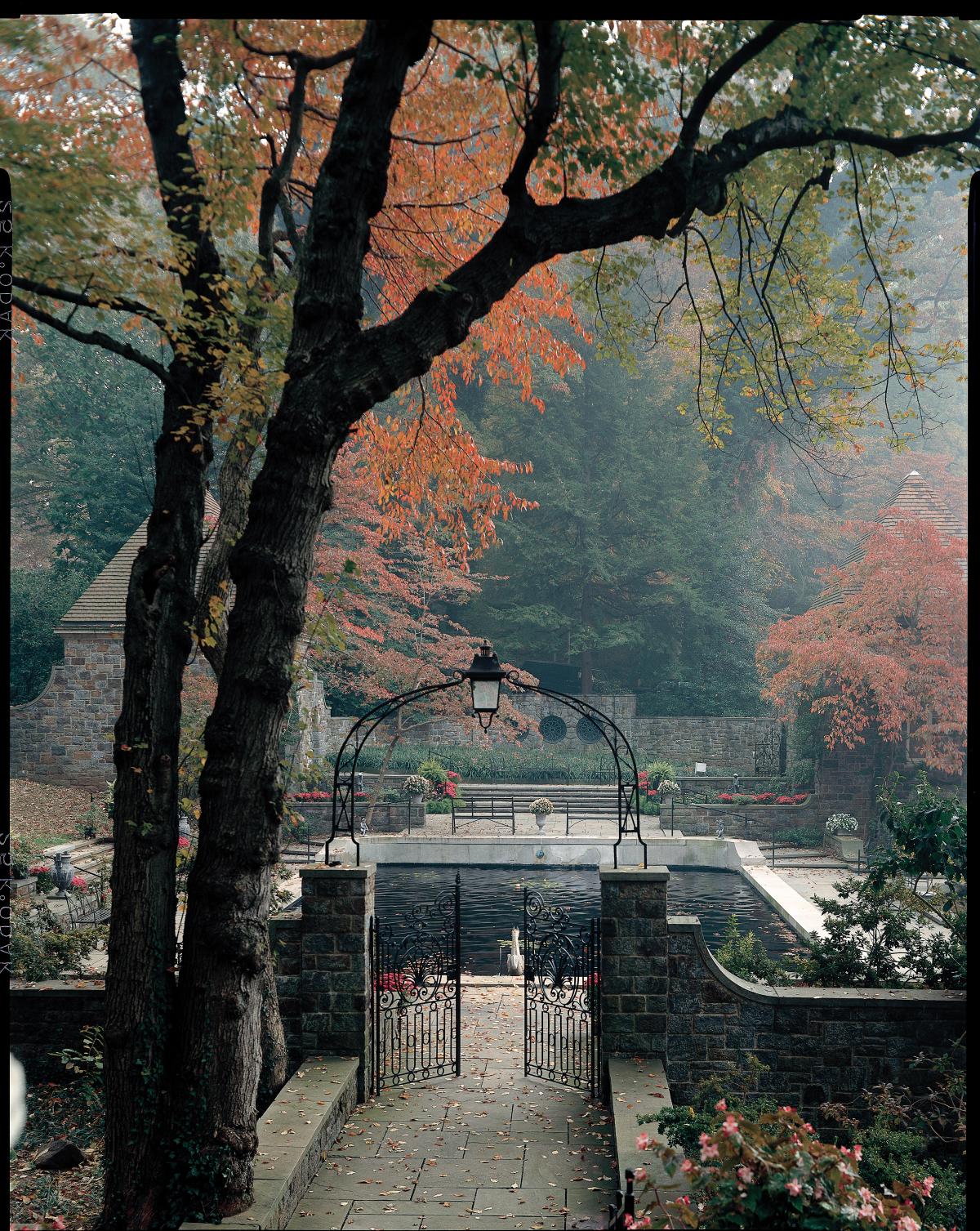 Photograph of an iron gate with lantern over it, leading into a pond area surrounded by stones
