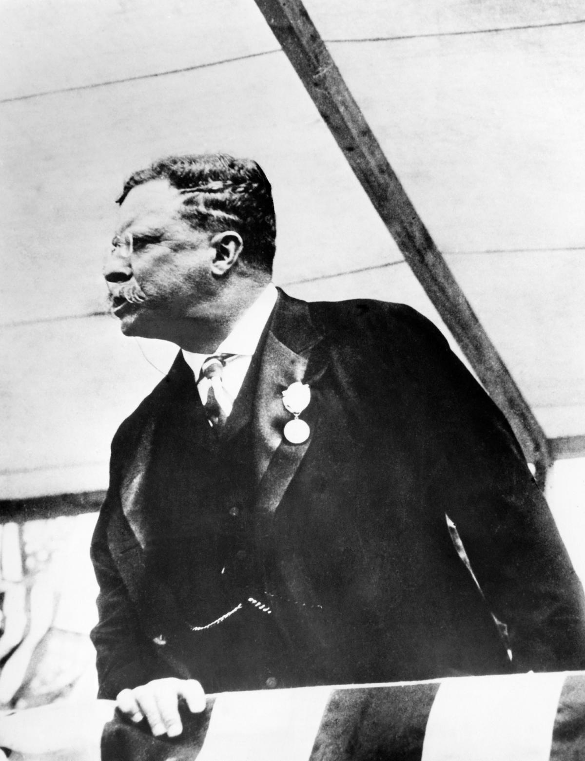 Teddy Roosevelt looking to his right, wearing a dark suit