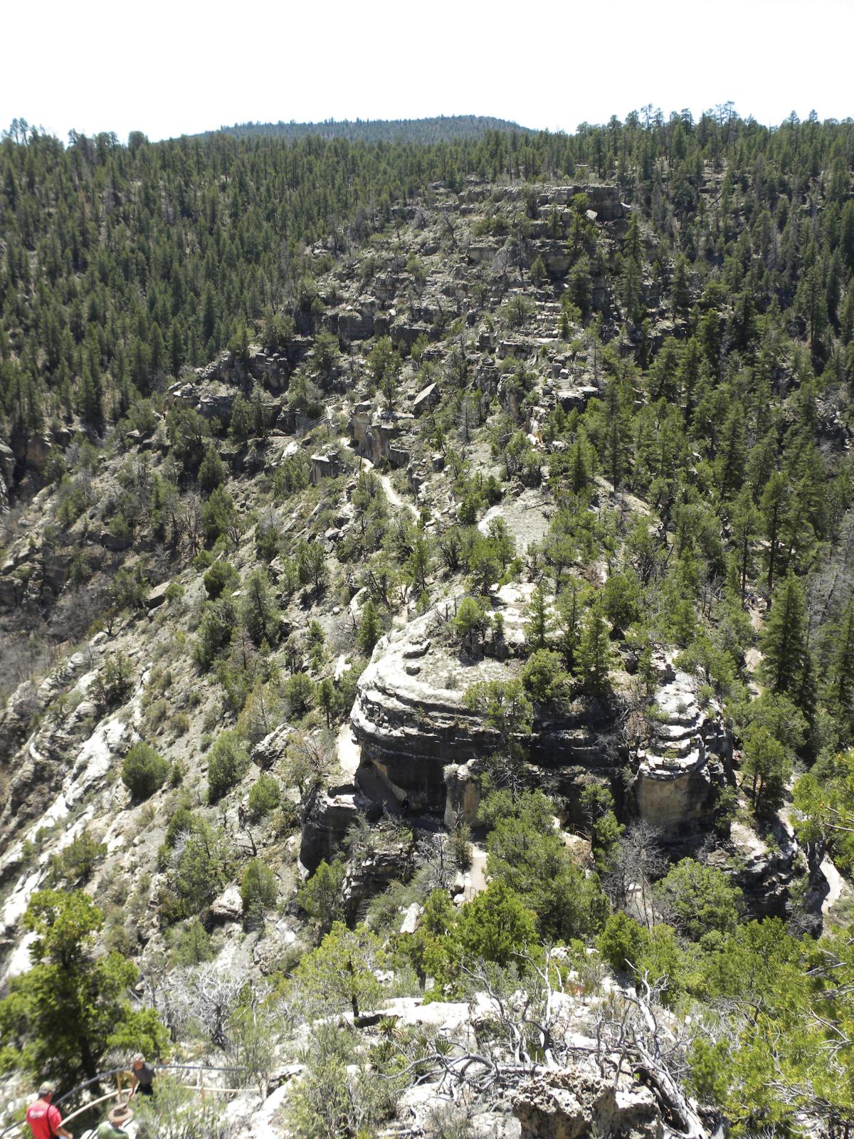 Rocky outcrop covered in trees in Walnut Canyon