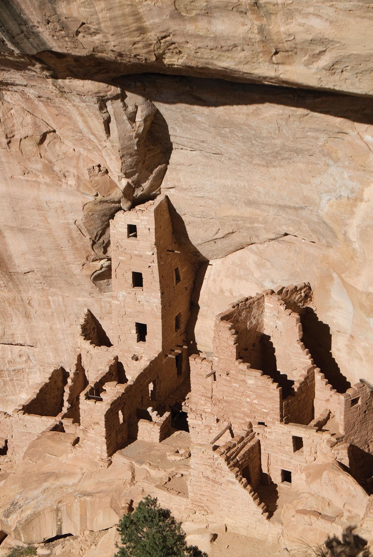 Cliff dwellings at Mesa Verde, carved into tan sandstone