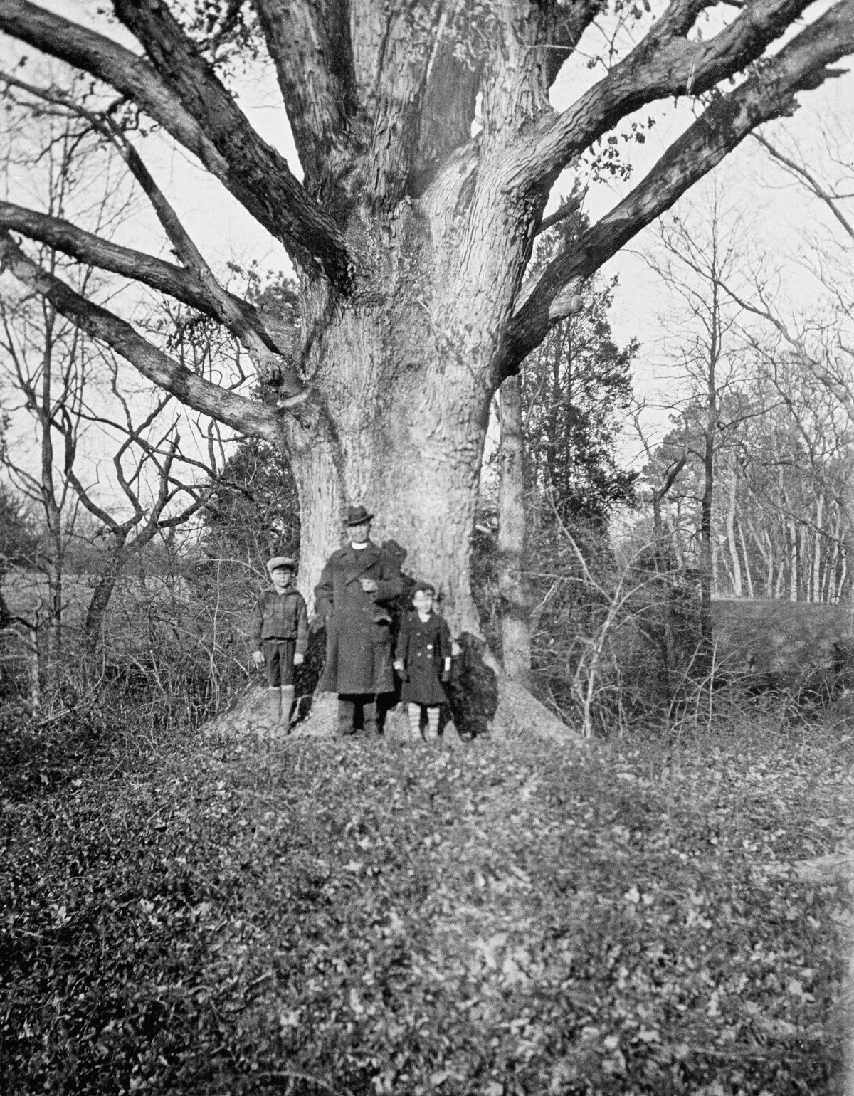 Goodwin with his sons Howard and William beneath the Great Oak at Bassett Hall, circa 1926.