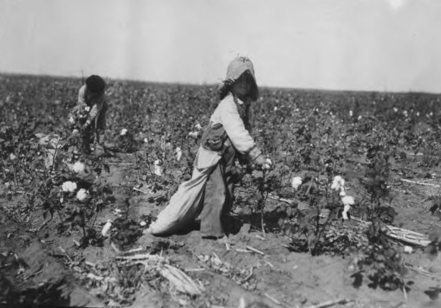 Lewis Hine photograph of boy farming cotton in Oklahoma, black and white 