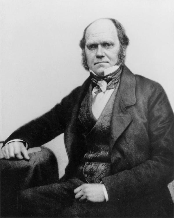 Black and white portrait of Charles Darwin