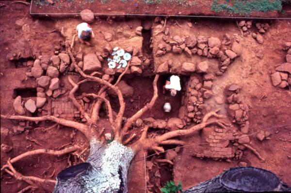 Early 1980s excavation of a slave dwelling built ca. 1780s