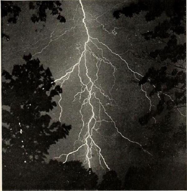 A photograph of lighting by A. M. MacFarland, entitled St. Nicholas