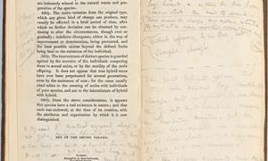 Annotations by Charles Darwin in  Charles Lyell's Principles of Geology