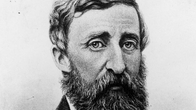 Black and white drawing of Henry David Thoreau