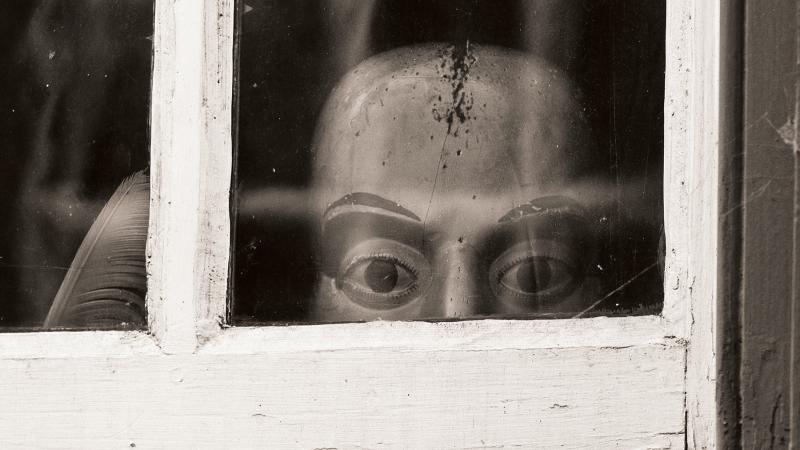 Doll peeking out of a window