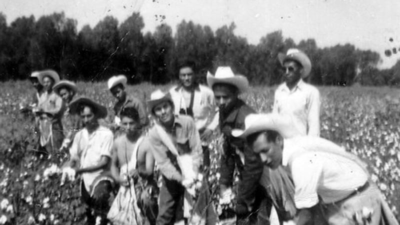 Braceros in eastern Arkansas ca. 1950s