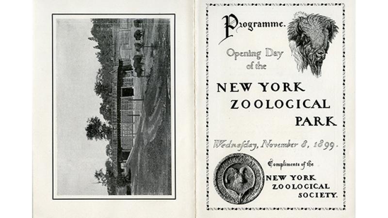 Program from the Bronx Zoo’s opening day, November 8, 1899