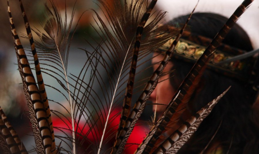 girl behind feathers