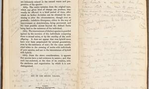 Annotations by Charles Darwin in  Charles Lyell's Principles of Geology