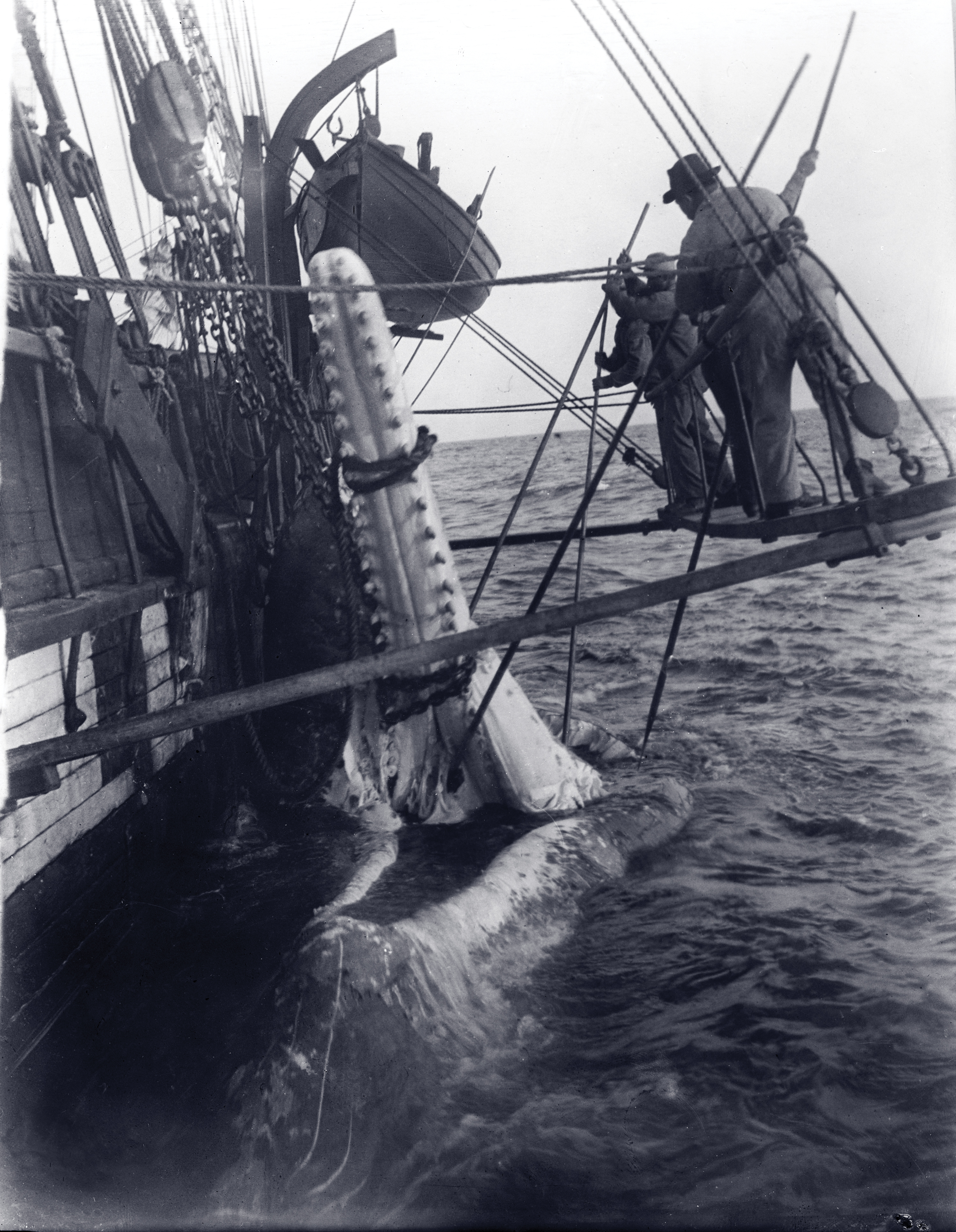 Whaling The Old Way | The National Endowment for the Humanities