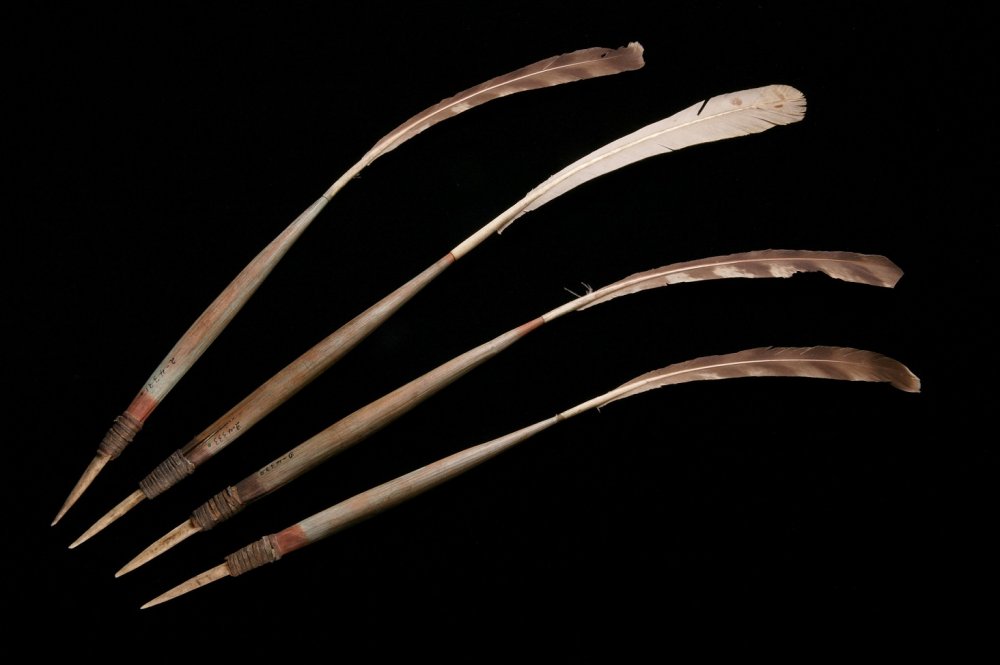 Four bone-tipped darts, collected before 1898.