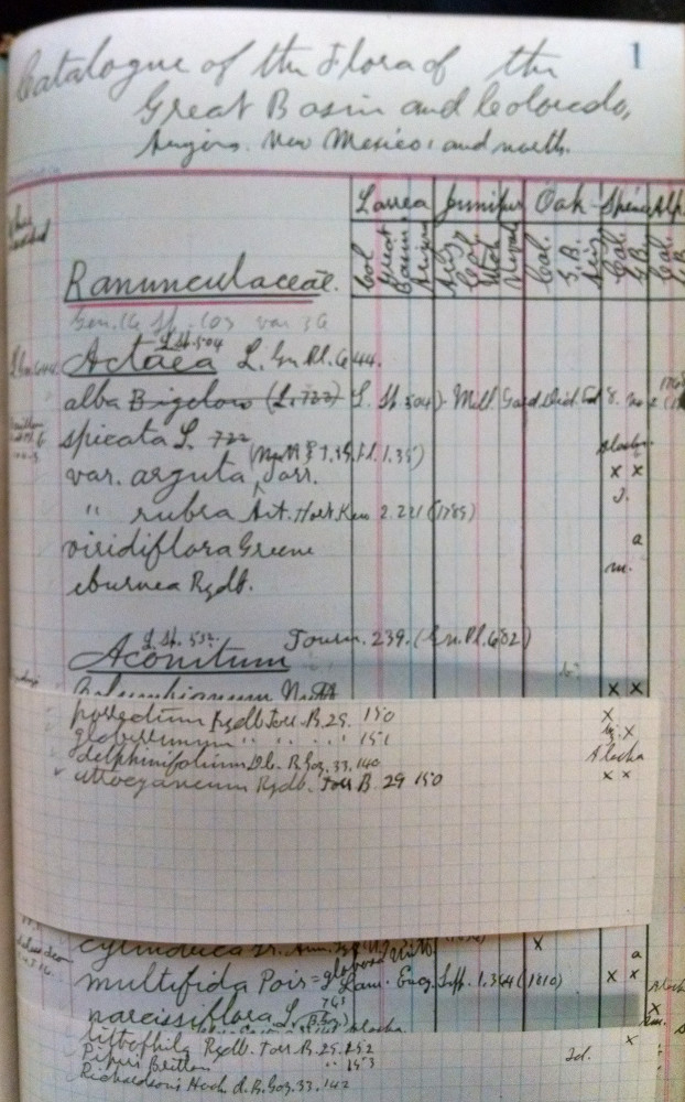 Marcus E. Jones Collection: Pages from Jones’ personal field notebook / diary