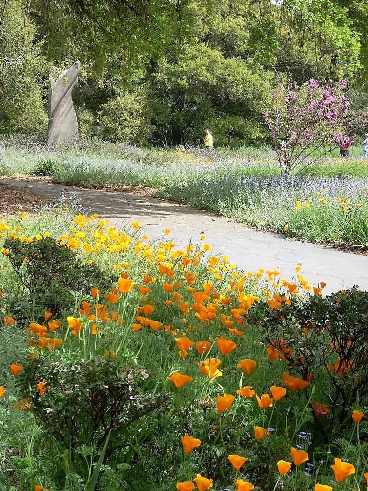 The Rancho Santa Ana Botanic Garden in Claremont, California