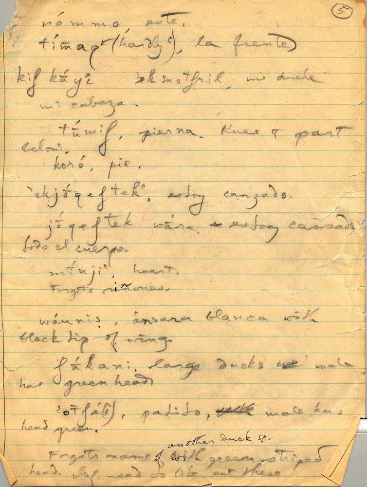 Page from one of J.P. Harrington’s field notebooks documenting Chochenyo.