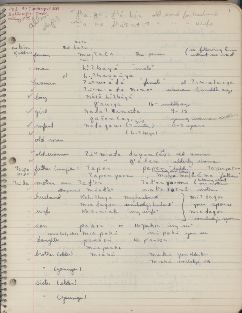 Page from one of Robert Oswalt’s field notebooks documenting Kashaya Pomo.