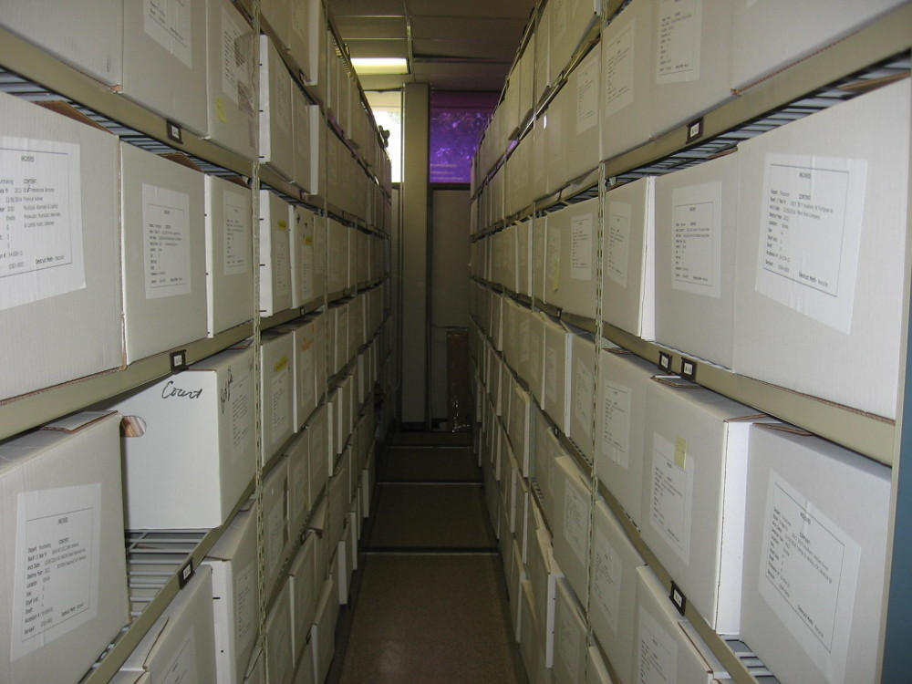 View down one of the aisles of compact storage system in the archives of Brick