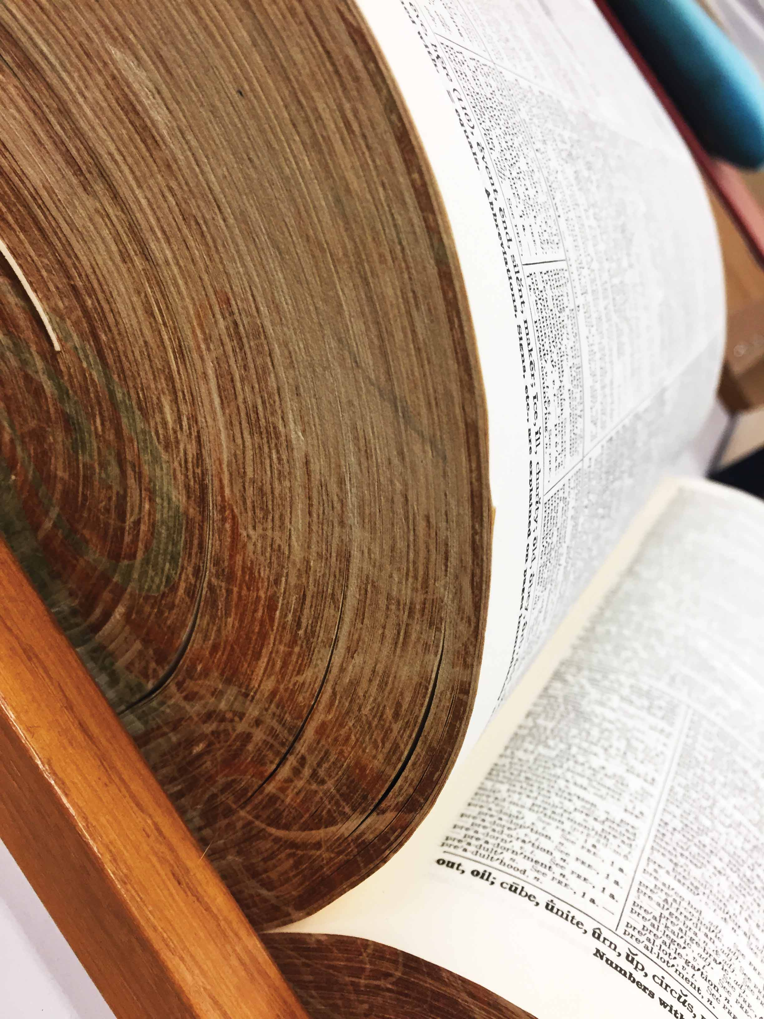 5 Benefits of a Print Dictionary