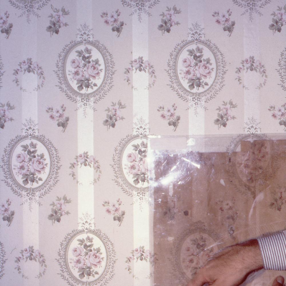 photograph of antique wallpaper