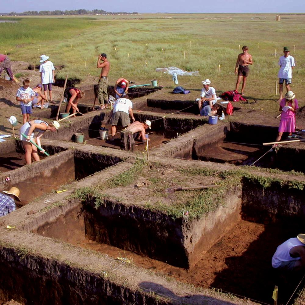 Photograph of an archaeological dig site
