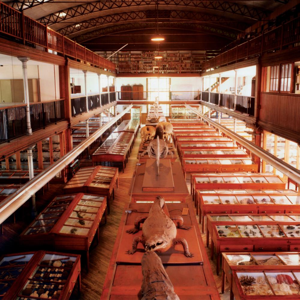 Color photo of an exhibition hall in a museum.