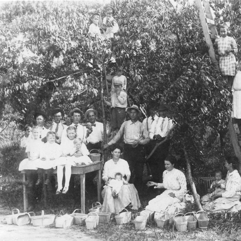 Family, all dressed in white, sitting and standing in a stand of trees