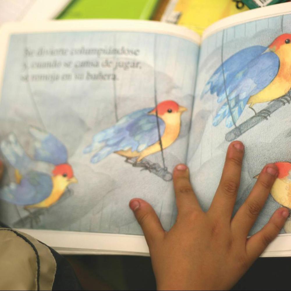 an over-the-shoulder view of a child reading a colorful picture book