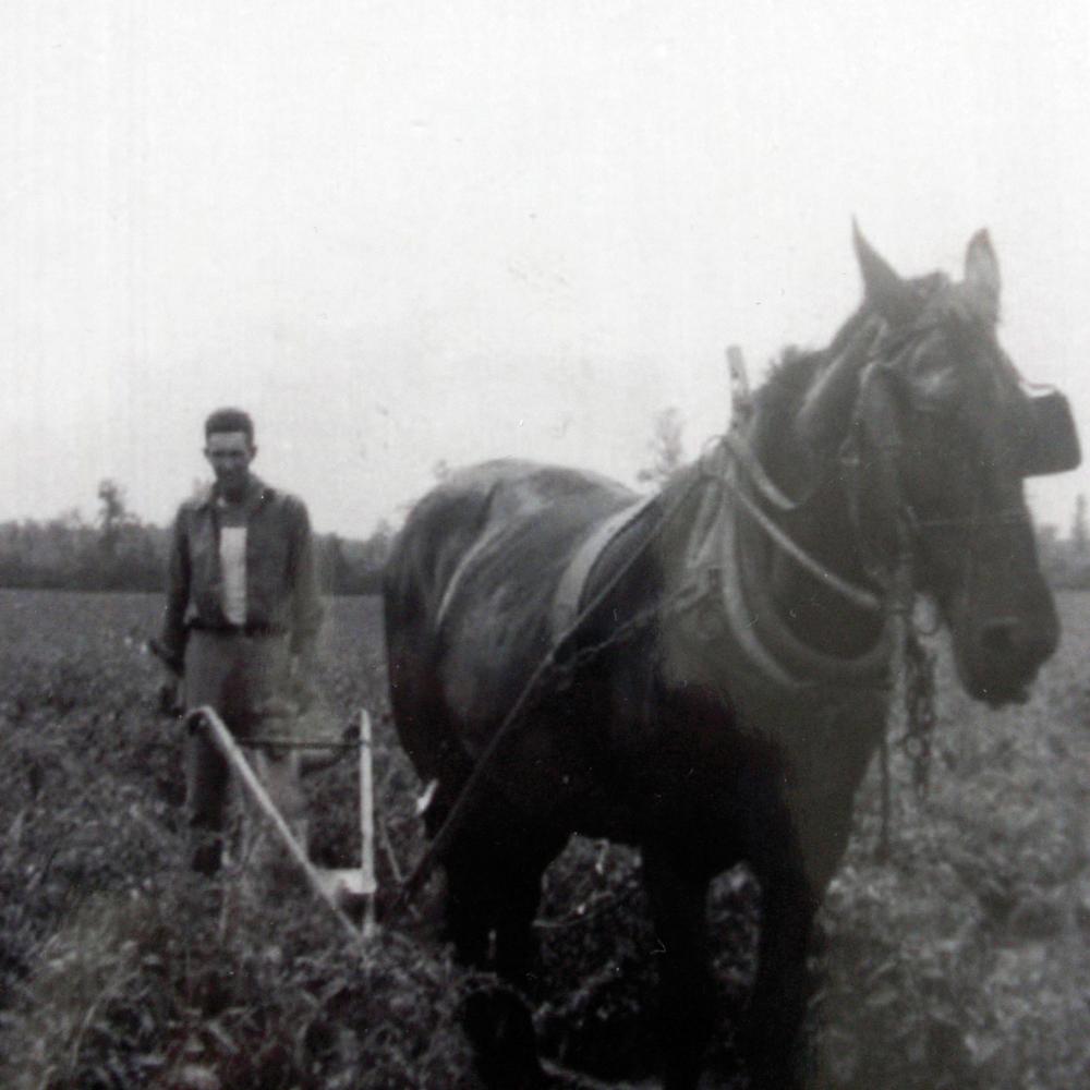 Black and white photo of a man plowing behind a horse.