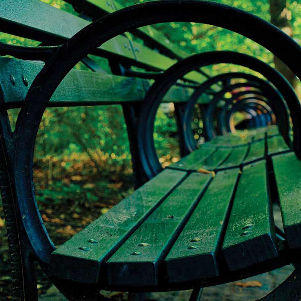 Artistic photo of a bench in Central Park, looking through the armrests.