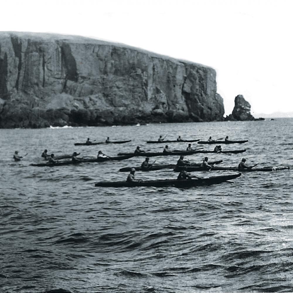 Several small boats with rowers, on the water, off the coast of an island with a large plateau