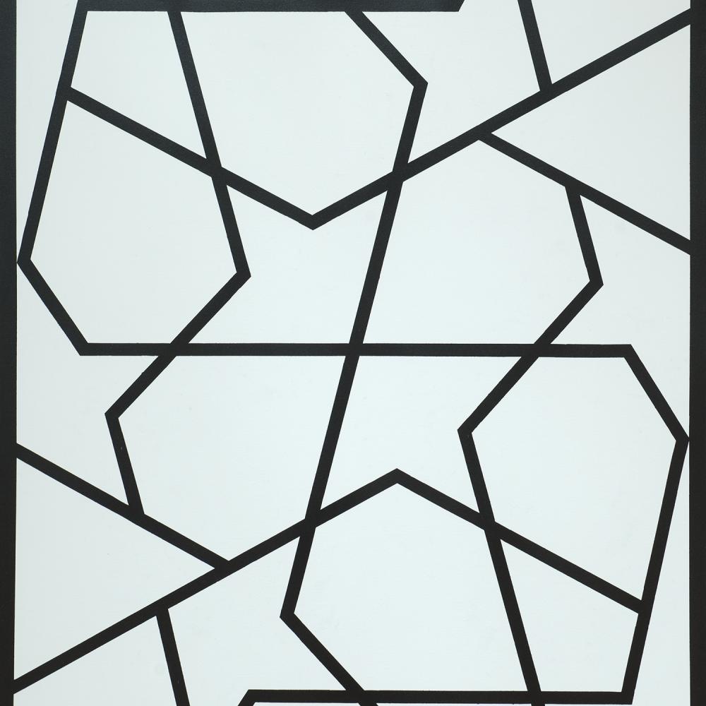 Abstract black lines crisscross a pale aqua background