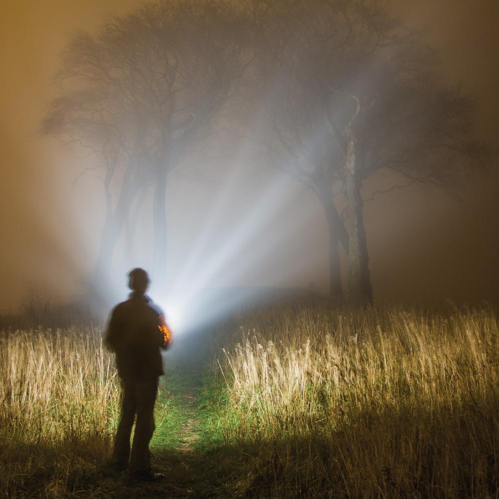 A man in a red jacket with his back to the viewer shines a bright flashlight onto a grassy swamp area, fringed with trees
