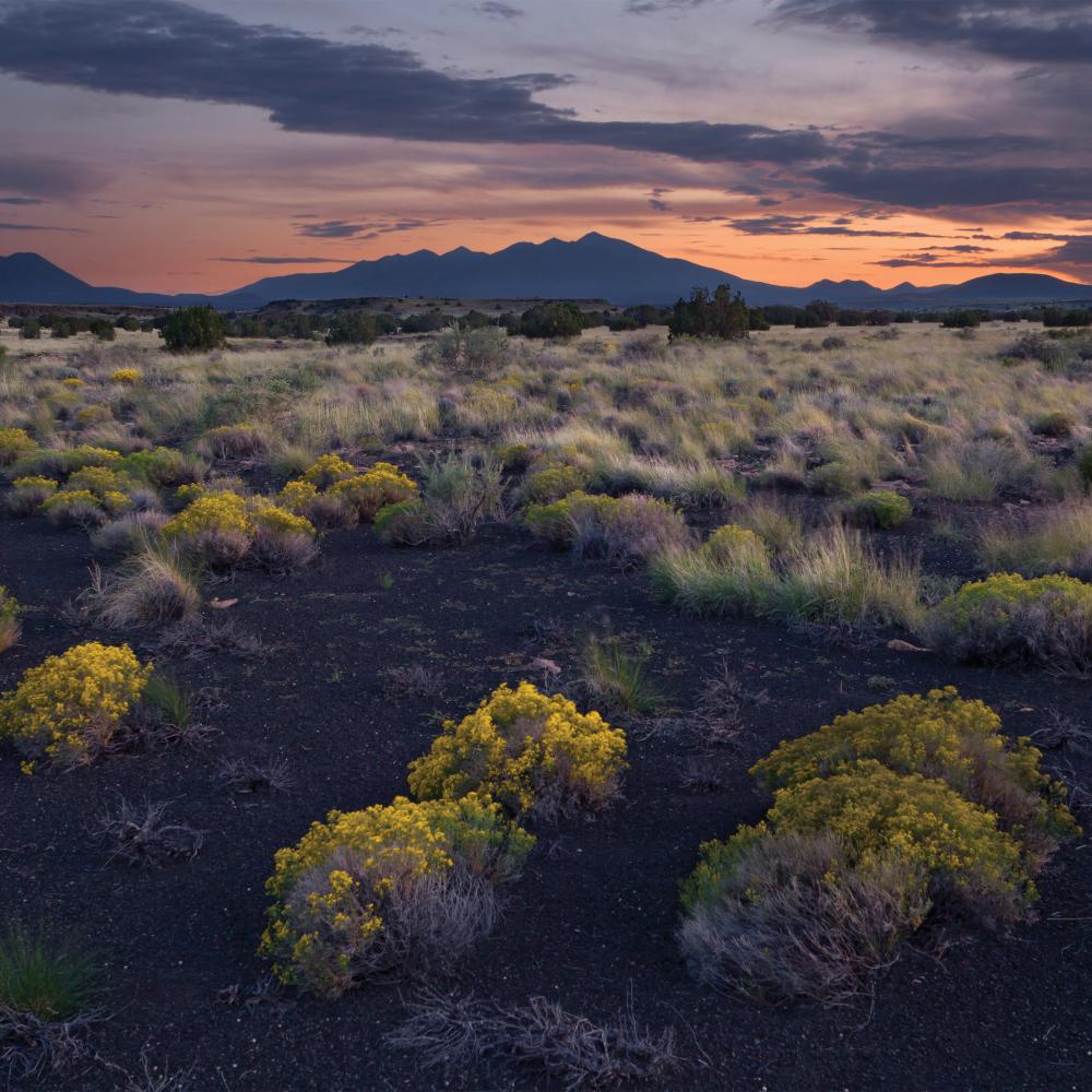 Box Canyon at sunset