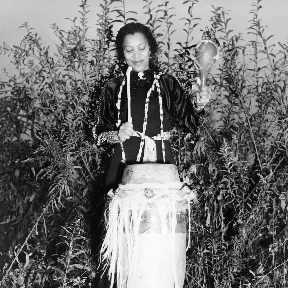 What Zora Went Looking For | The National Endowment for the ...