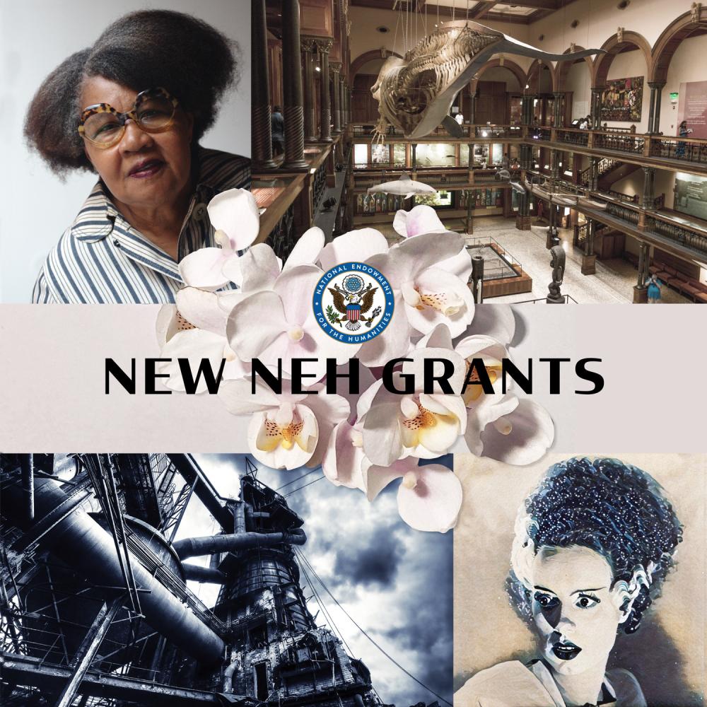 NEH Announces $33.17 Million for 245 Humanities Projects Nationwide 
