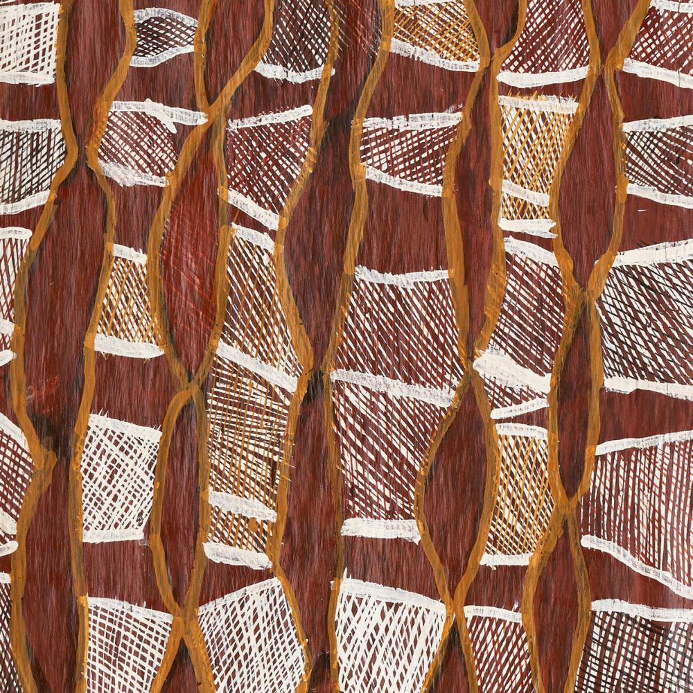 Detail of "Ancestral Fire," an Aboriginal Australian bark painting