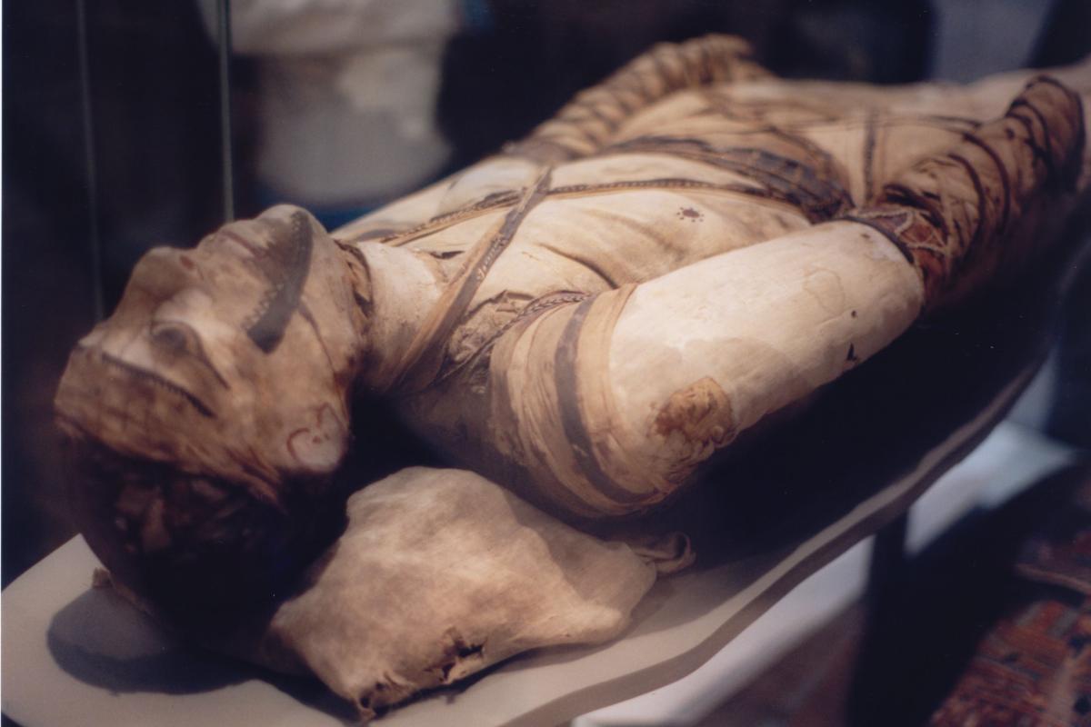 Mummy at the British Museum