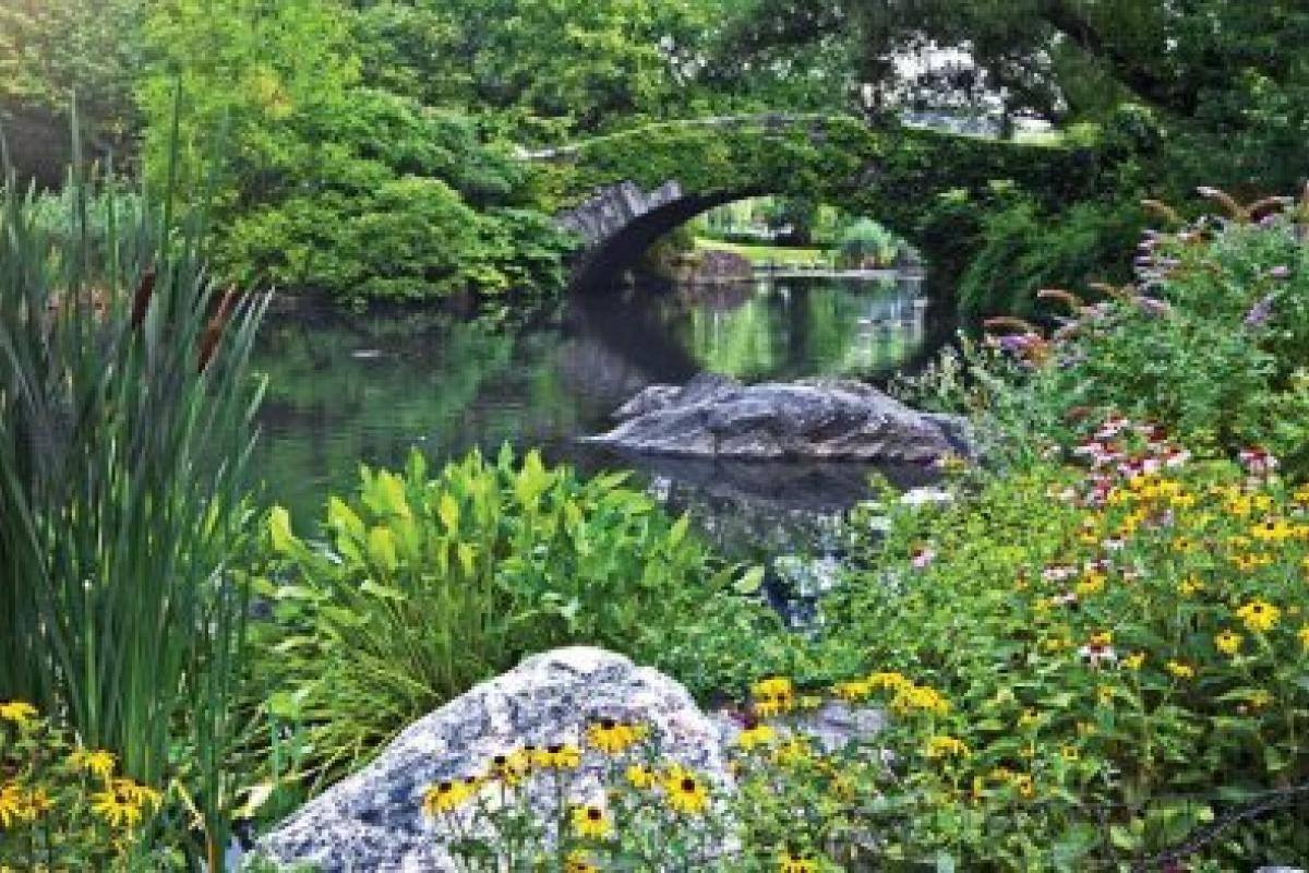 Frederick Law Olmsted Designing America National Endowment for the