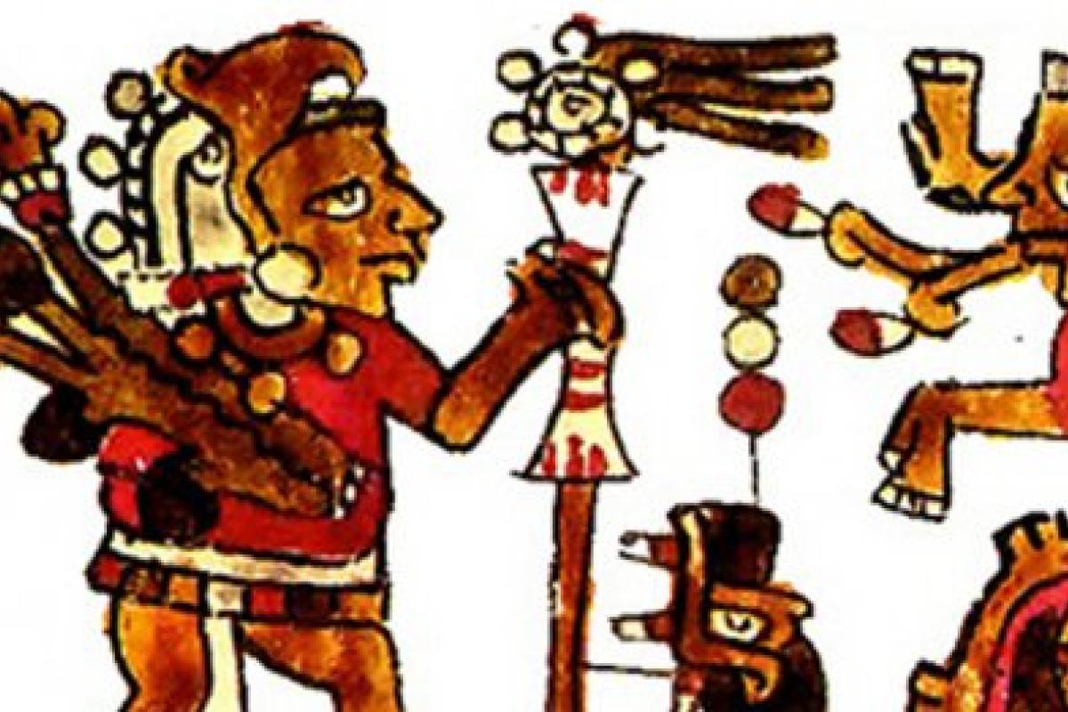 Codex Selden