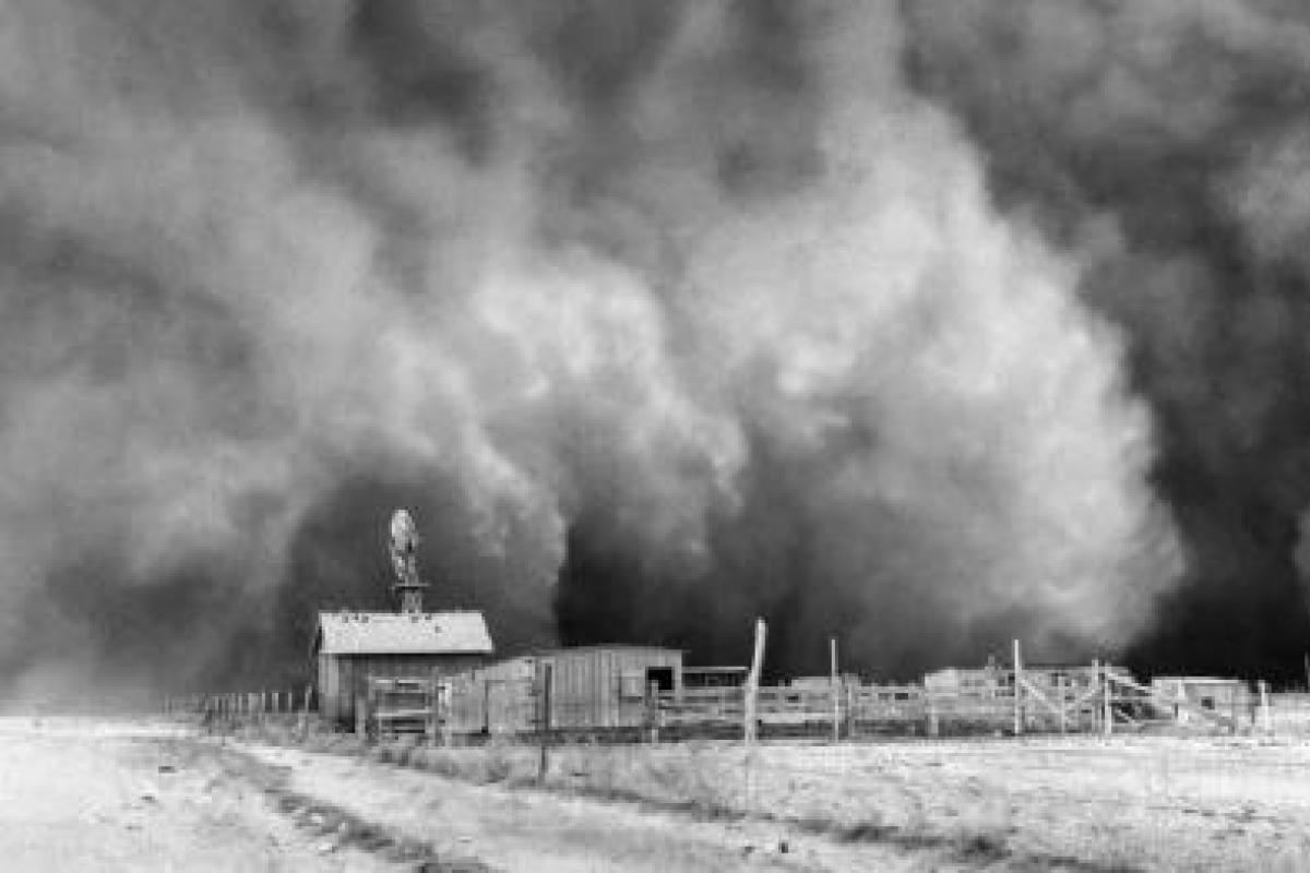 what caused the dust bowl essay