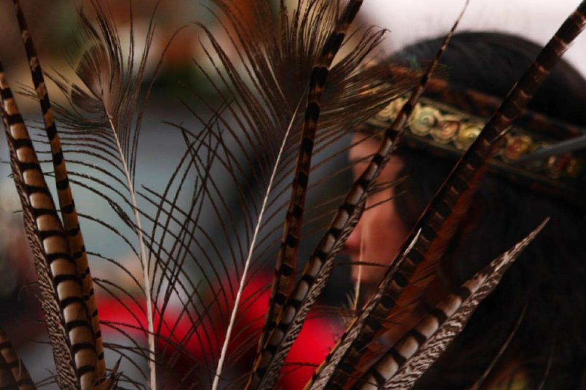 girl behind feathers