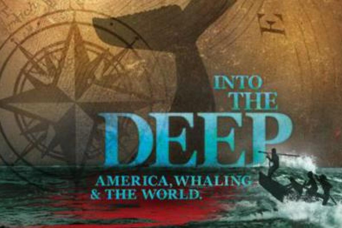 Into the Deep Header image