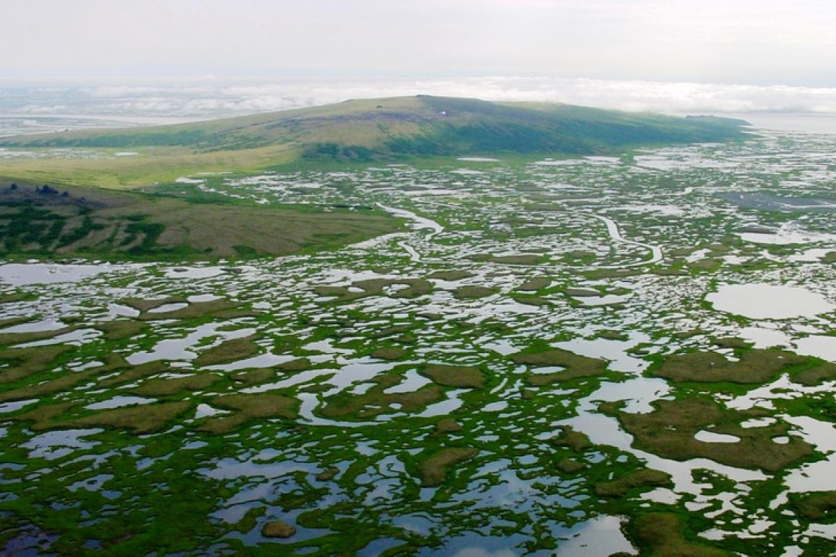 View of the Yukon-Kuskokwim Delta