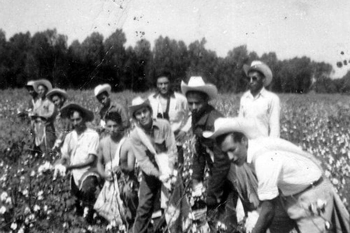 Braceros in eastern Arkansas ca. 1950s